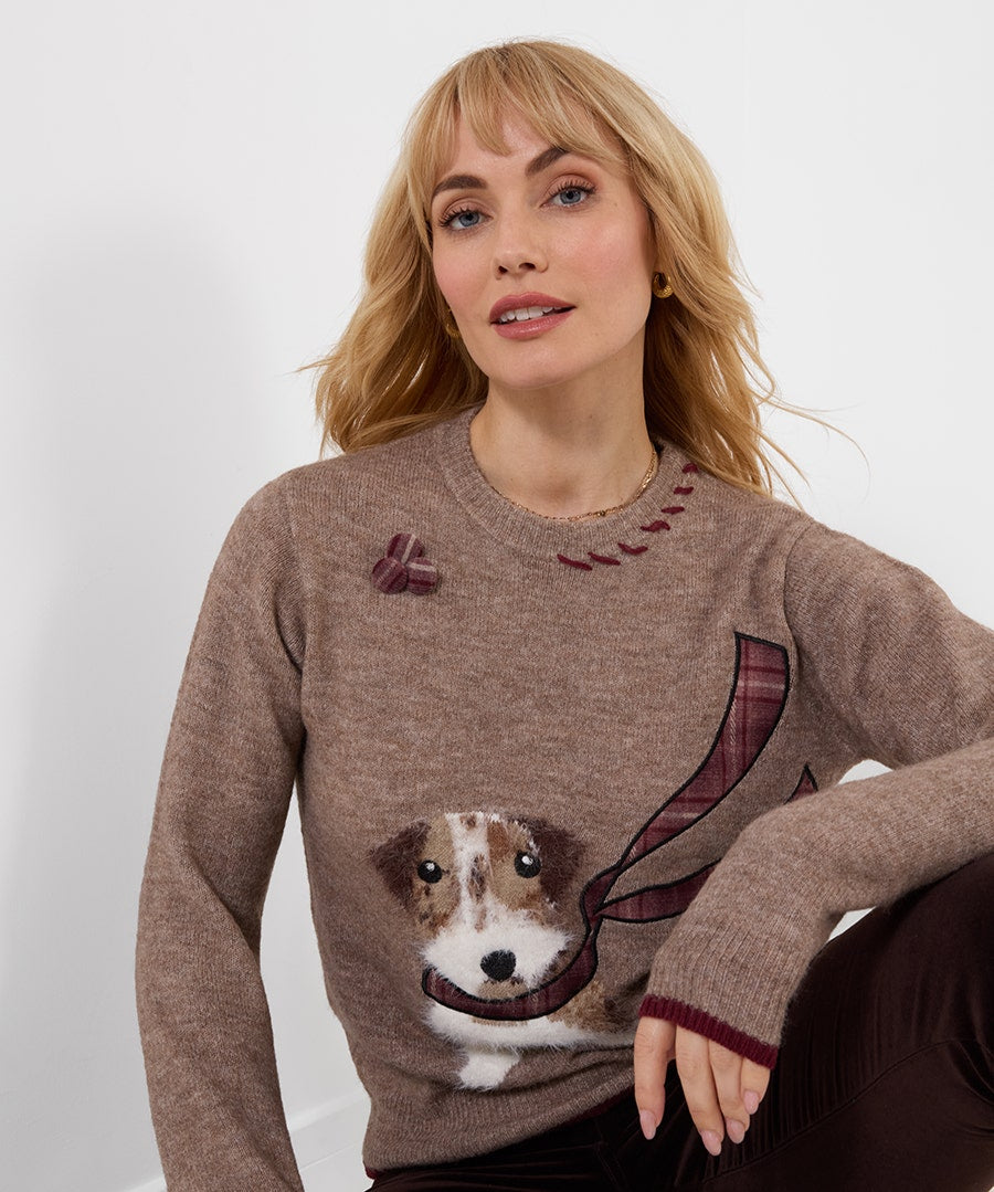 Cooper Embroidered Fluffy Dog Jumper