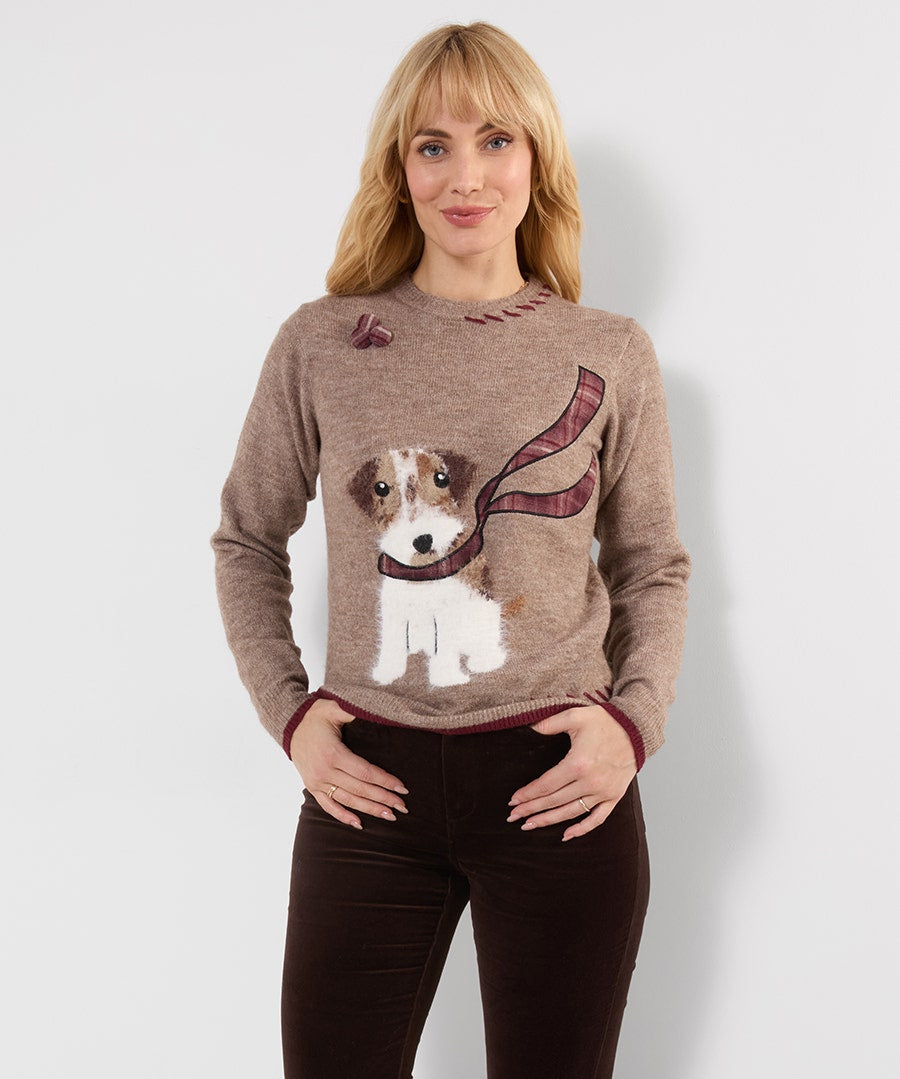 Cooper Embroidered Fluffy Dog Jumper