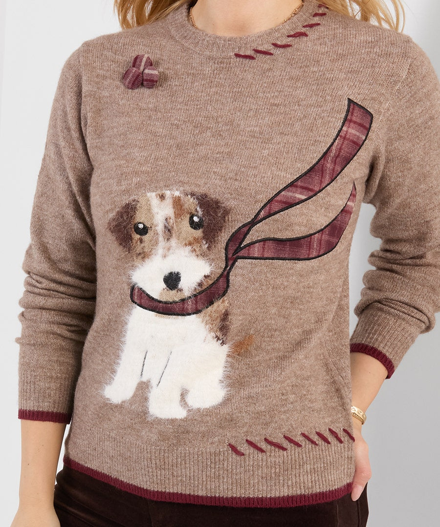 Cooper Embroidered Fluffy Dog Jumper